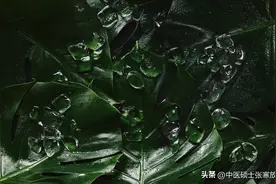 下身潮湿，湿热下注，男科不行，龙胆泻肝没用？听中医教你一招图片