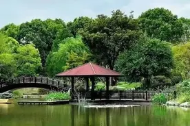 让“苏州河第一村”一直美下去图片