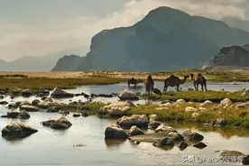 你不知道的冷知识——阿曼篇图片