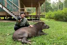 那个“问题少年”在抖音做科普，给35万粉丝科普生物的奥秘图片