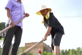 被批“不男不女”的毕凌，把父亲毕福剑自以为豪的体面，撕得稀碎图片