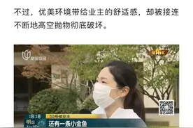 太炸裂！上海网红小区竟有人高空抛大便？公共视频经常能拍到“辣眼”画面...图片