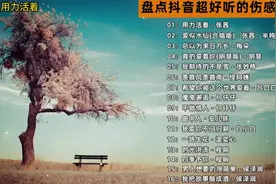盘点抖音超好听的伤感情歌合集，用歌声演绎出了生活的苦！图片
