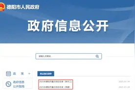 重磅！2025年德阳市重点项目名单公开！图片
