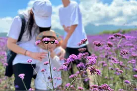 蒋勤勤晒一家四口出游照，17岁大儿子长高不少，5岁小儿子像妈妈图片
