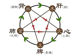 虚人必备1个中成药，补肾，健脾，养肝，润肺，安心，补足五脏！图片
