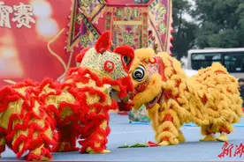 相约2025·共赴旅发盛会丨龙狮争霸赛！一睹为快→图片