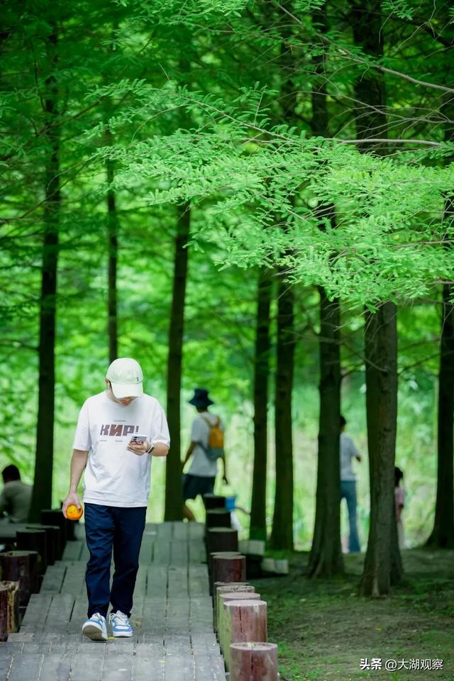 “亭”亭玉立！蜀山版“绿野仙踪”火了！