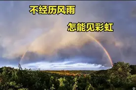 不经历风雨 怎能见彩虹图片