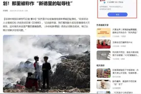 印度首都遍地是垃圾，最高执法坐不住了，称必须找到永久解决方案图片