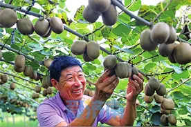 济南：绿水青山好“丰”景 五谷丰登笑开颜图片