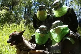中国最危险边防区，7条军犬被咬死，士兵睡觉都要全副武装图片
