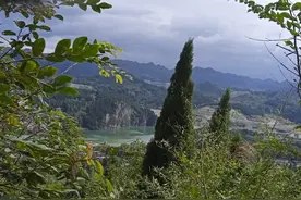 一个人的独居生活，不是时光让我学会了坚强，是人生让我必须逞强图片