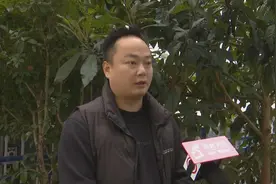 文件丢失 快递公司如何担责？图片