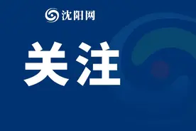 2024世界城市排名出炉！沈阳的排名是……图片