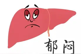 气出来的肝病，一味中药煮水喝，泻火除烦，疏肝理气！图片