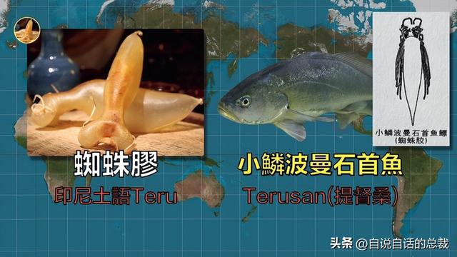 美国陈年花胶 2026年陈年花胶价格