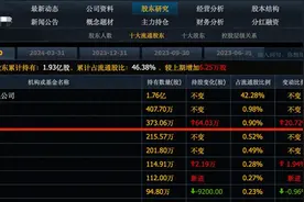 刚刚，牛散徐开东悄悄介入13个龙头，联合高盛，摩根和私募重仓图片