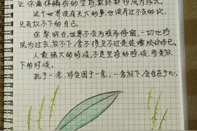 抄书打卡283天！《人生没什么不可放下》读完了！总结一下！图片