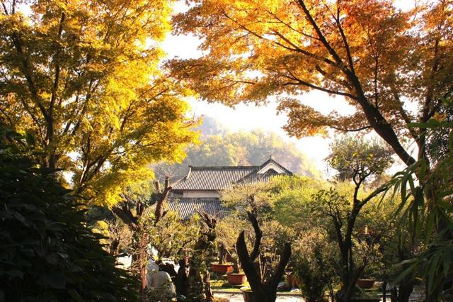 在开化，寻根的故事，找慢的答案