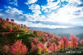 你知道巜黄帝内经》中，＂男不过八八，女不过七七＂是什么意思？图片