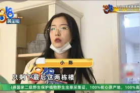 每天凌晨，都能听到“咚咚咚”的敲墙声，姑娘不敢住了图片