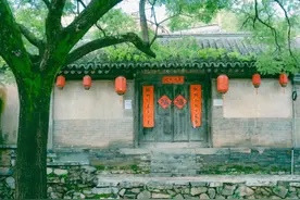 俗语“三树不能砍，福散穷来伴”，指的是什么树？前人的经验之谈图片