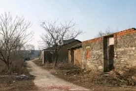 那年邻居去世，父亲帮着办了后事，19年后，邻居的儿子来到了我家图片