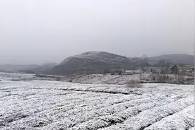 贵州三月出现“雷打雪”图片