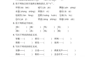 三年级语文上册，1-8单元核心考点专项训练及答案（2023版）~图片