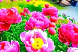 请欣赏豫剧《刘塘下南京》龙国太加封刘箫！封的真厉害啊！图片