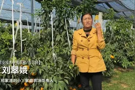 《你好，新农人》刘小丫家庭农场：特色种植 打造生态农业新样板图片