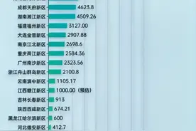 国家级新区貌似挺厉害，其实是由本来实力就不菲的多个行政区构成图片