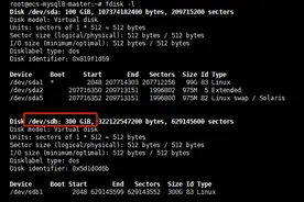 Linux系统磁盘扩容实践（八）——扩容已挂载的磁盘图片
