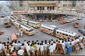 四十多年来，为了搞钱，中国人有多野？图片