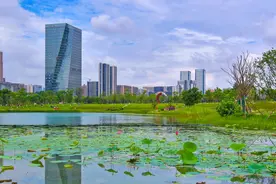 成都“十佳”农业职业经理人出炉啦！图片
