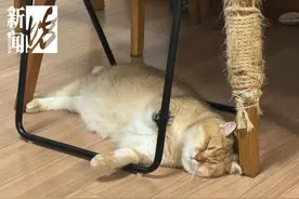 高温天上海这里人扑扑满！有人拖着行李箱…官宣这个消息，网友沸腾！图片