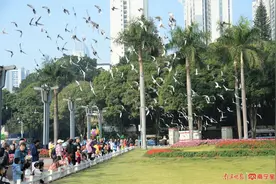 2025年首场寒潮将来袭！广西局地或有雨夹雪或雪冻雨图片