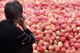 年损失4000亿！百吨水果积压、果农眼泛泪花，中国水果为何滞销？图片