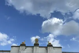 句句语出惊人，句句感悟极深。图片
