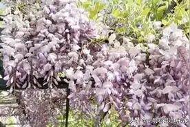 所有障碍产生的原因 是你的高度不够 《毛选》给你霸气图片