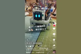 大二男生做桌面电子狗走红：新手做着玩，已接到十几单图片