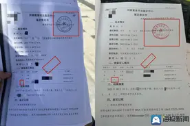 河南一男孩穿裙子代女孩做亲子鉴定？官方回应图片