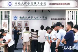 惊艳！老河口木版年画艺术工坊亮相大艺展图片