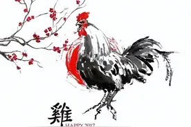 「福气鸡」的晚年，特别是69年，万般皆是命！图片