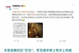 胖猫图片