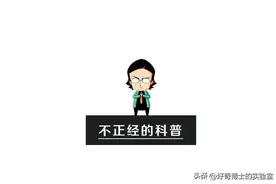 石楠花味道那么腥臭，为什么还要满大街种啊？图片