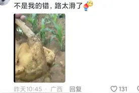 要被华南F3笑死了:“太公，我等会去找你啊，烧猪掉沟里了！”图片