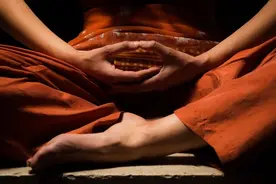 《生死疲劳》读后感图片