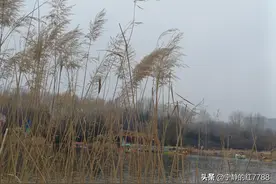 人生的意义到底是什么？殡仪馆工作8年的大哥这样说图片